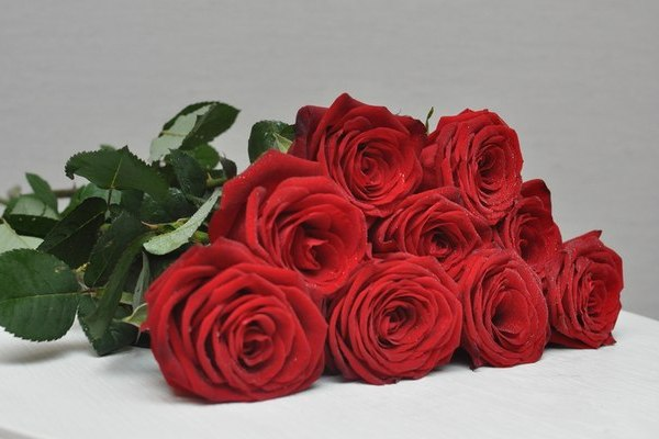 Девять красных роз
