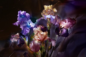 На фото – букет ирисов, который можно преподнести по самым разным поводам Загадочные ирисы придутся по душе многим