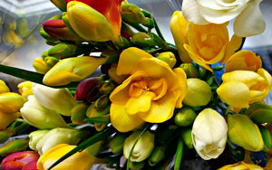 Хотите подарить радость? Пришлите букет цветов!