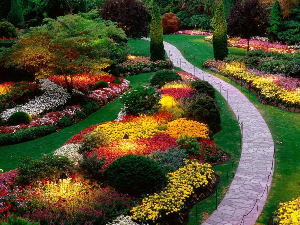 Красивейшие цветы купить для сада корейская матовая пленка