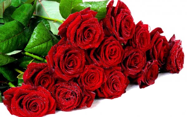 Флористы Flora Express собирают цветочные композиции из самых свежих растений 