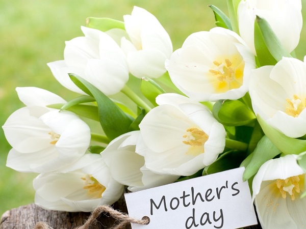 День матери: лучшие открытки, поздравления в стихах, прозе и смс