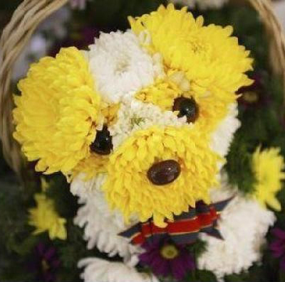 Творчество из живых цветов