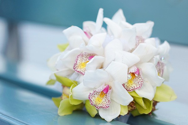 Орхидеи являются символом любви